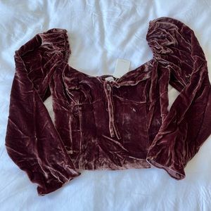 Aritzia Wilfred Novella Velour Top